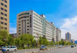 青浦区大型提升输送机供应商